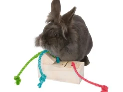 Trixie Spielzeug Snack Würfel, 15 x 5.5 x 6 cm