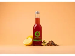 Urban Drinks Bio Kombucha Zitronengras & Hibiscus 0.33 l