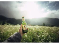 Valaisanne Lager Bier 10 x 0.33 l