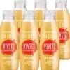 Vivitz Eistee Apfelminze Bio 6 x 0.5 l