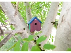 Windhager Nistkasten Bausatz for Kids